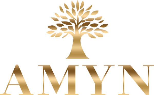 Youssef Amyn